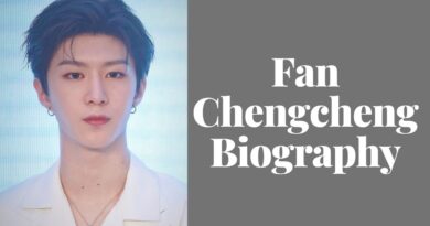 Fan Chengcheng Chinese Actor and Rapper Biography Top N